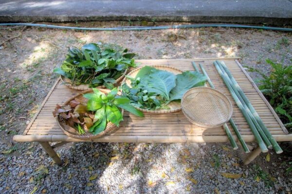 Cultural Immersion: Thai Cooking, Rice Farming, Eco Printing - Cultural Significance of Activities