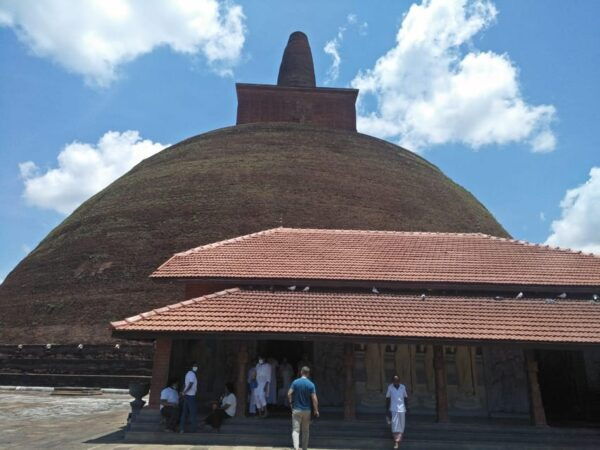 Cultural Odyssey: 10 Days of Splendor in Sri Lanka - Health and Safety Considerations