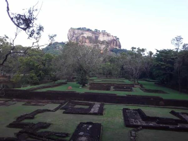Cultural Odyssey: 10 Days of Splendor in Sri Lanka - Activities and Highlights