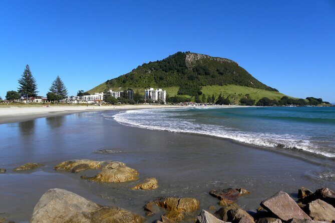 Cultural Rotorua Private Tour Tauranga Port. Whakarewarewa Ticket - Why This Tour Offers Great Value