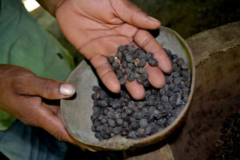 Cultural Safari from Punta Cana - Exploring the Cultural Safari from Punta Cana: A Deep Dive Into Dominican Life