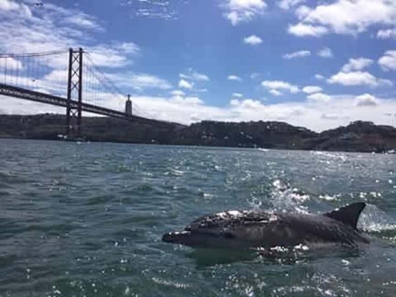 Cultural Sailing Tour in Lisbon - Price and Value