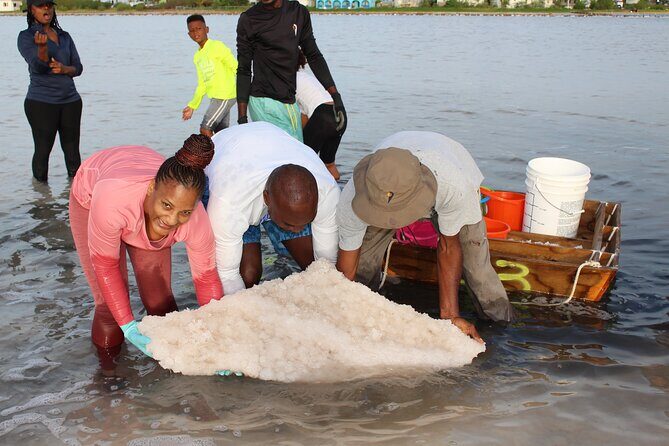 Cultural Salt Picking Experience in Anguilla - Good To Know