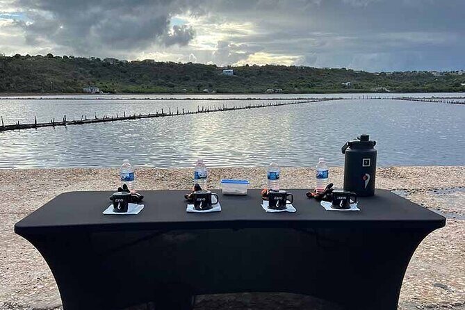 Cultural Salt Picking Experience in Anguilla - The Sum Up