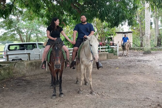 Cultural - Small Group - Local Dominican Experience - Cancellation Policy and Refunds