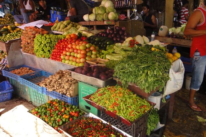 Cultural - Small Group - Local Dominican Experience - Traveler Photos and Experiences