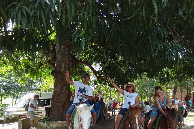 Cultural - Small Group - Local Dominican Experience - Common Questions