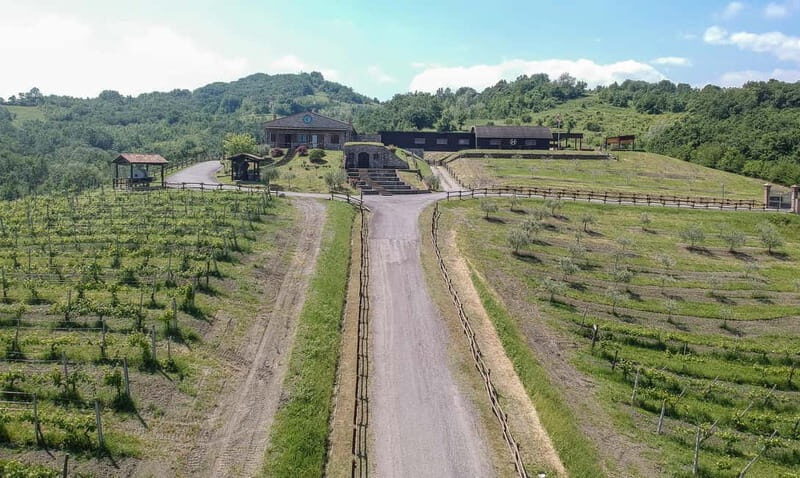 Cultural Tasting: 5 glasses with 5 food pairings - Is It Worth the Price?