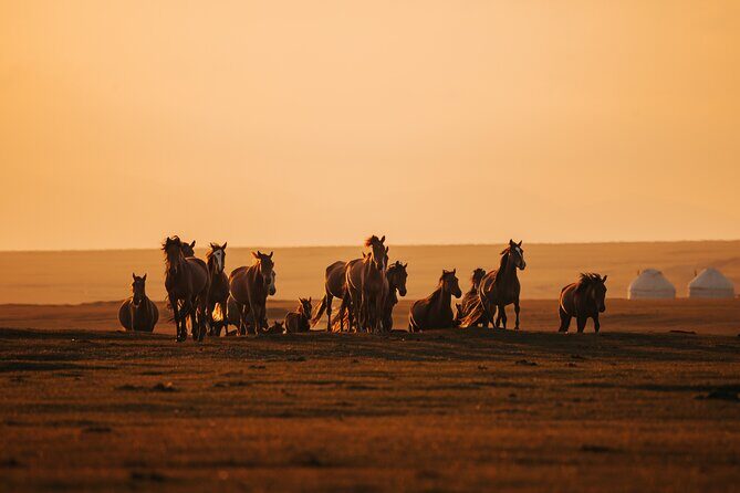 Cultural Tour at Kyrgyzstan in 8 days - A Deep Dive Into the 8-Day Kyrgyzstan Cultural Tour