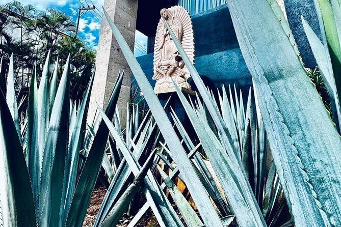 Cultural tour, city fields and distillery - Good To Know