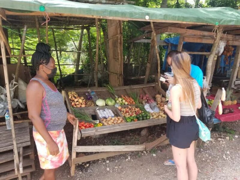 Cultural tour of Montego Bay & Jamaica Highlight and shop. - Exploring the Heritage of Montego Bay