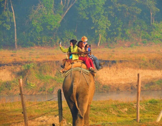 Cultural Tour With Chitwan Jungle Safari - Wildlife and Cultural Importance