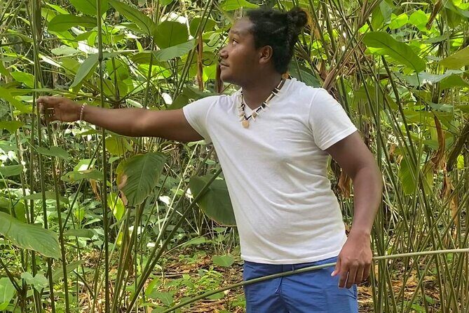 Cultural Tours Of Kalinago Territory of Dominica with Past Chief - What’s Included and What to Consider