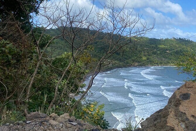 Cultural Tours Of Kalinago Territory of Dominica with Past Chief - FAQ