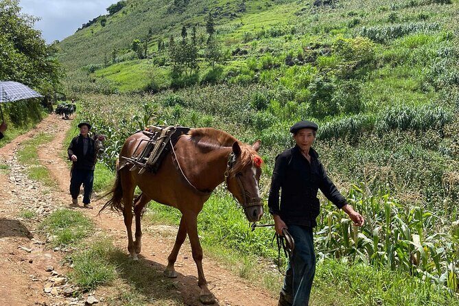 Cultural Trekking Tour of H'Mong Village In Dong Van - Who Will Love This Experience?
