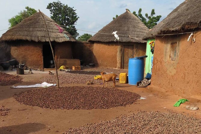 Cultural Village Tour: Traditional Naming Ceremony - Good To Know