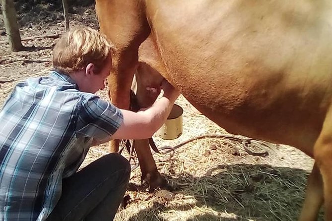 Cultural Village Tour,Interacting With the Communal Villagers (Educational Trip) - Villager Interaction Activities