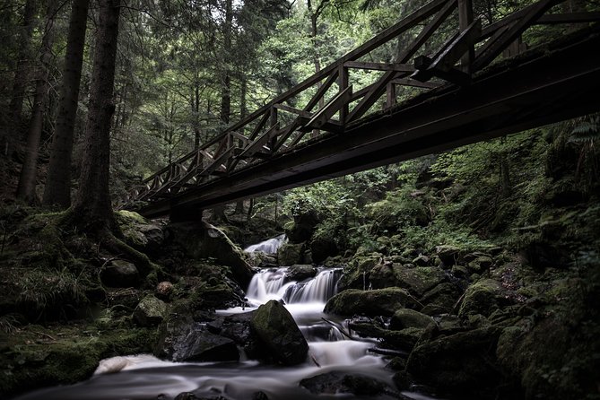 Culture and Traditions Hike Through the Black Forest With a Local - Cultural Highlights Along the Hike