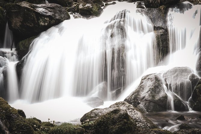 Culture and Traditions Hike Through the Black Forest With a Local - Tips for a Memorable Hiking Experience