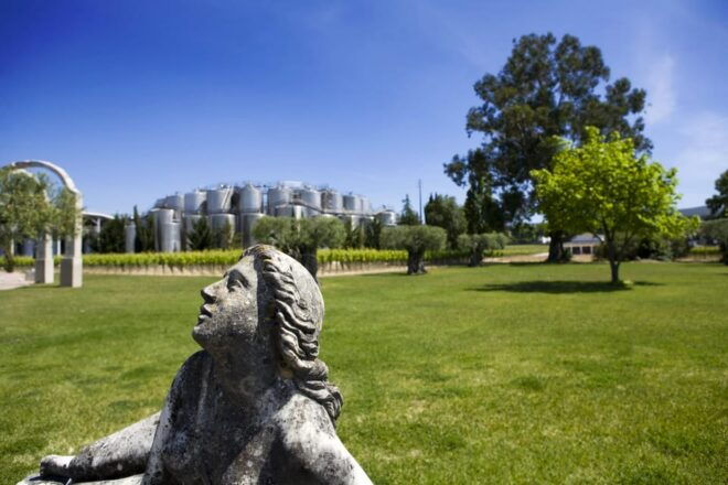 Culture & Gastronomy: Setubal Visit & Wine Tour From Lisbon - Vineyards and Winemaking