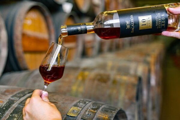 Culture & Gastronomy: Setubal Visit & Wine Tour From Lisbon - Booking Information