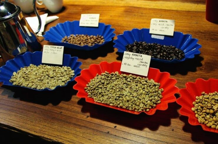 Cupping and Blending Your Own Vietnamese Beans - Types of Vietnamese Coffee Beans