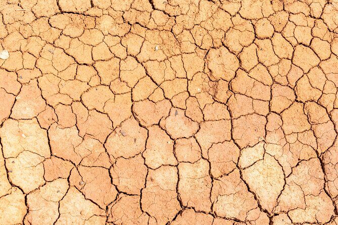 Curaçao Cave Kunuku and Cas Abou Jeep Safari Adventure - The Itinerary in Detail: From Caves to Beach