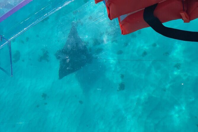 Curaçao ClearBoat Snorkel Tour  Daaibooi, Porto Marie & Cas Abao - Final Thoughts