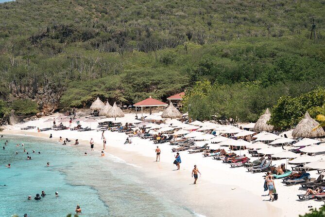 Curaçao Full-Day Tour: Hato Caves, Turtles, Kenepa & Flamingos - Good To Know