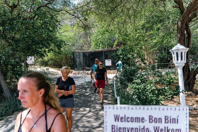Curaçao Full-Day Tour: Hato Caves, Turtles, Kenepa & Flamingos - Who Is This Tour Best For?