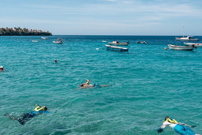 Curaçao Full-Day Tour: Hato Caves, Turtles, Kenepa & Flamingos - FAQ