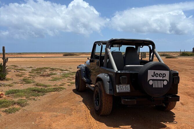 Curacao Private Jeep Off-Road Tour to Swimming with Sea Turtles - Good To Know  
