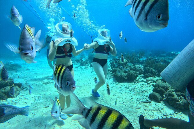 Curacao Sea Trek Snuba Combo Walk Tour and Dive the Ocean - Practical Tips for Participants