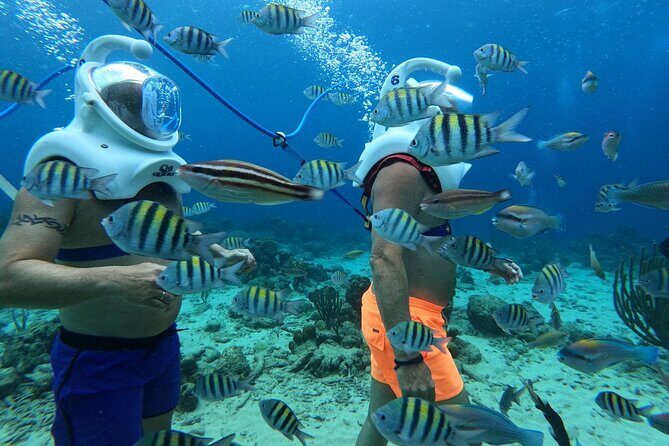 Curacao Sea Trek Snuba Combo Walk Tour and Dive the Ocean - FAQs