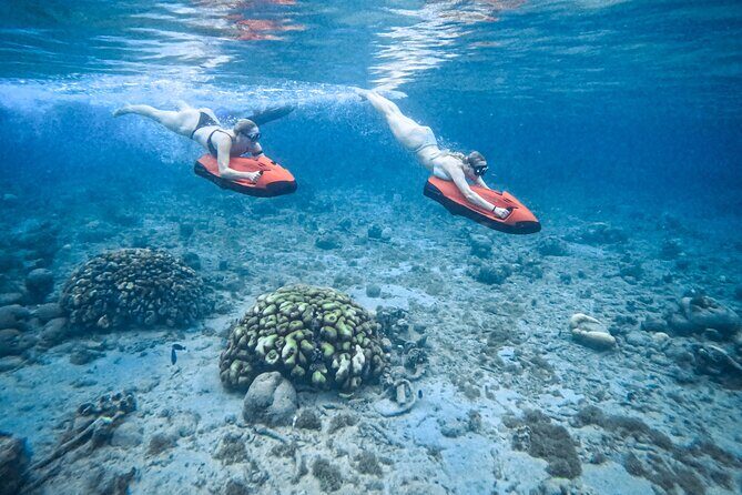 Curaçao Seabob in Playa Piskado Adventure with Sea Turtles - Good To Know