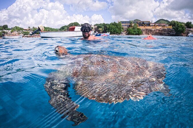Curaçao Seabob in Playa Piskado Adventure with Sea Turtles - Who Should Book This?