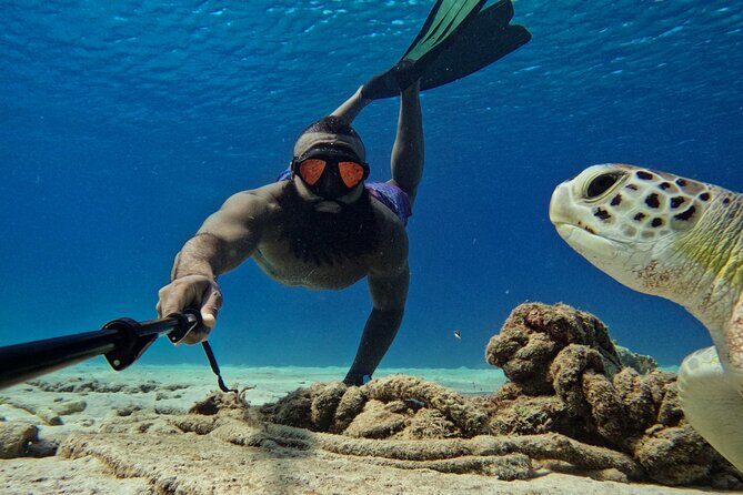 Curaçao Seabob in Playa Piskado Adventure with Sea Turtles - FAQ
