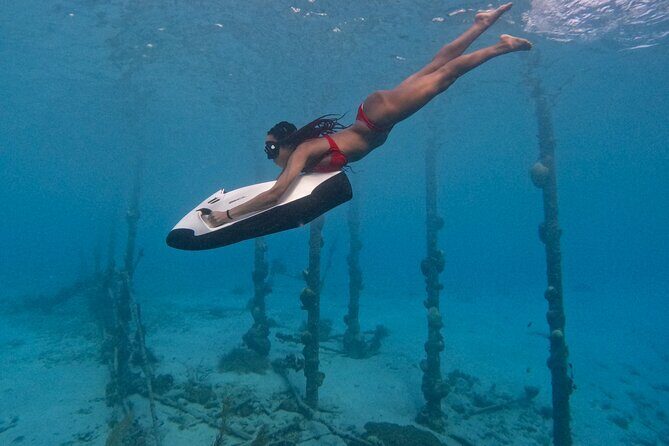 Curaçao Seabob Tugboat Adventure (Andymaxadventures Curaçao) - FAQ