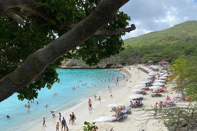 Curacao's Beaches & Blowholes: Exclusive 4-Hour Private Tour - Good To Know