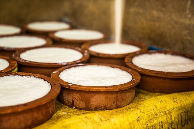 Curd Processing Experience from Tissamaharama - The Experience: Learning, Tasting, and Cultural Insights  