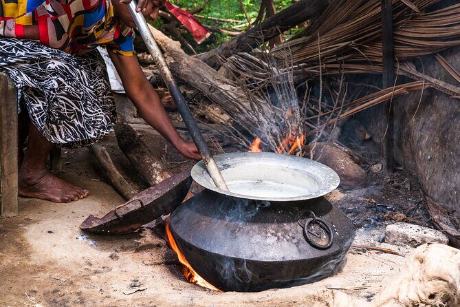 Curd Processing Experience from Tissamaharama - Authentic Experiences from Reviewer Insights  