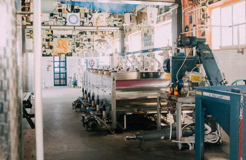 Cured Meat & Olive Oil Tasting & Visit near Pisa & Livorno - Good To Know