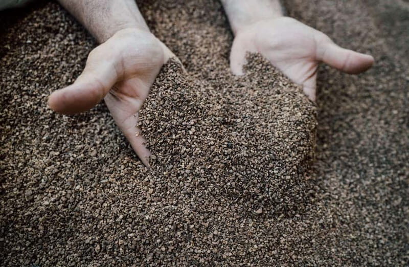 Cured Meat & Olive Oil Tasting & Visit near Pisa & Livorno - The Experience in Detail