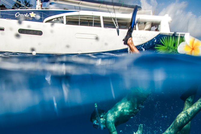 Curieuse and St. Pierre Islands (Mahe Clients) - Reviews Overview