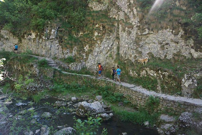Curly Tour - Day Trip From Cluj :) - Additional Info and Reviews