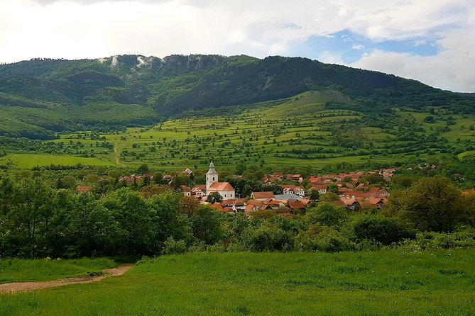 Curly Tour - Day Trip From Cluj :) - The Sum Up