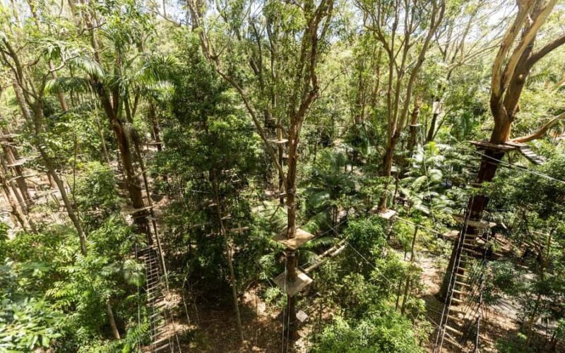 Currumbin: Treetop Challenge Adventure Park - Good To Know