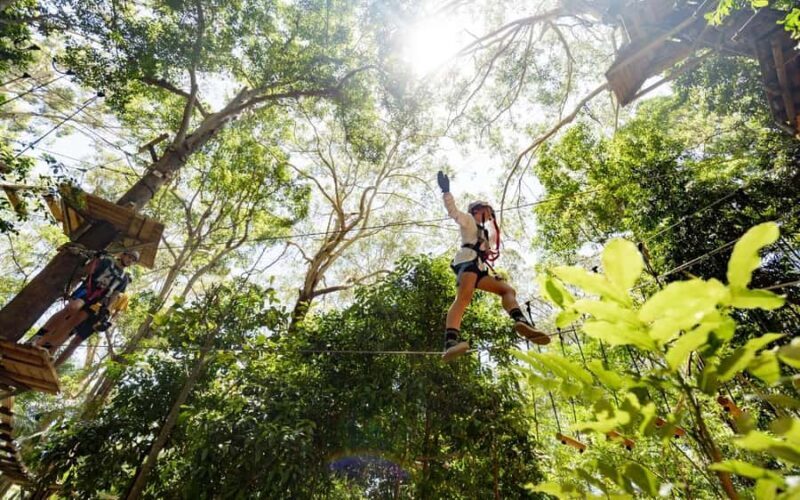 Currumbin: Treetop Challenge Adventure Park - FAQ