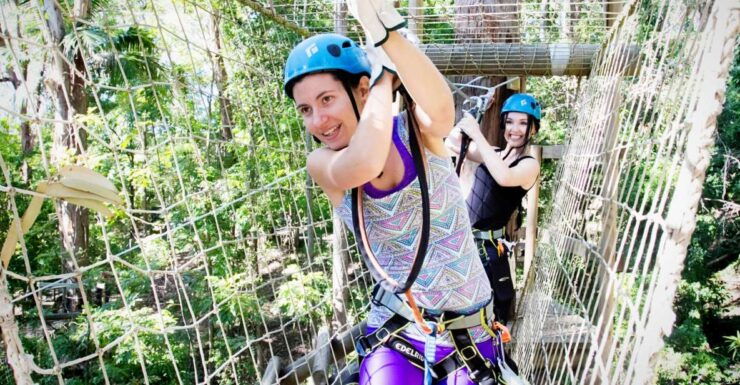 Currumbin Wildlife Sanctuary: Entry & TreeTops Challenge - Ticket Details