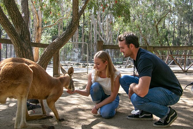 Currumbin Wildlife Sanctuary General Entry Ticket - Inclusions
